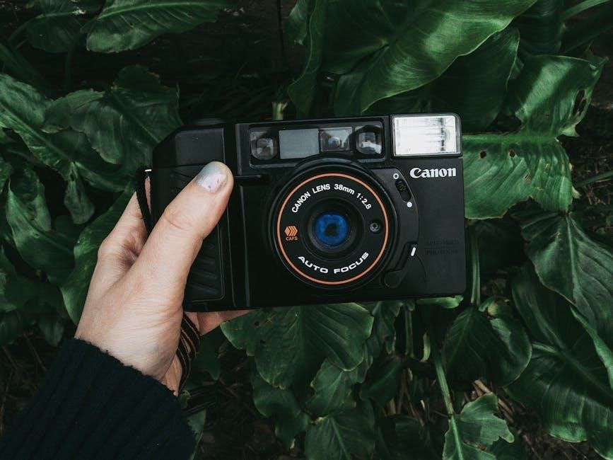 manual canon powershot sx60 hs