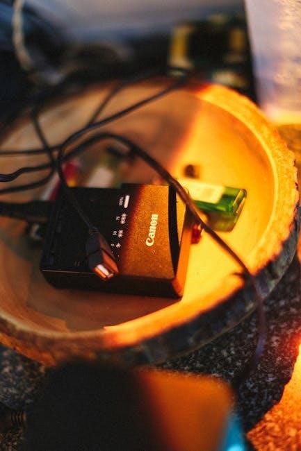 nexpeak battery charger manual