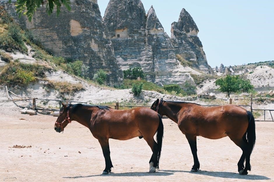 bit guide for horses
