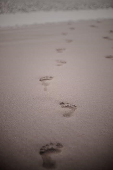 steps to freedom in christ pdf
